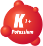 Promotes protein synthesis